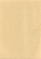 宮内上ノ原遺跡Ⅲ　-E地点の調査-　本庄市埋蔵文化財調査報告書 第10集（埼玉県）