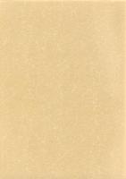 北堀久下塚遺跡Ⅱ（B地点）・久下東遺跡Ⅳ（C1・D1・E1地点）・久下前遺跡Ⅱ（A1・B1地点）　-本庄市埋蔵文化財調査報告書 第19集-（埼玉県）