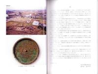 北堀久下塚遺跡Ⅱ（B地点）・久下東遺跡Ⅳ（C1・D1・E1地点）・久下前遺跡Ⅱ（A1・B1地点）　-本庄市埋蔵文化財調査報告書 第19集-（埼玉県）