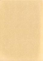 七色塚遺跡Ⅲ（B2地点）・北堀久下塚北遺跡Ⅲ（C・D地点）・久下東遺跡Ⅶ（A2・B2・B3・F2地点）・宥勝寺北裏遺跡Ⅳ（C地点）　-本庄市埋蔵文化財調査報告書 第37集-（埼玉県）