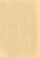 久下前遺跡Ⅵ（C2・C3・C4・F2・F3地点）　-本庄市埋蔵文化財調査報告書 第53集-（埼玉県）