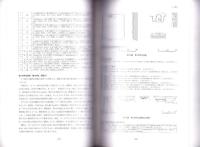 久下前遺跡Ⅵ（C2・C3・C4・F2・F3地点）　-本庄市埋蔵文化財調査報告書 第53集-（埼玉県）