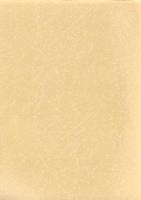 久下前遺跡Ⅳ（D1・E1地点）・久下東遺跡Ⅴ（F1地点）　-本庄市埋蔵文化財調査報告書 第28集-（埼玉県）