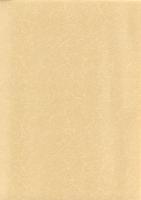 久下前遺跡Ⅲ（C1地点）・北堀新田遺跡Ⅱ（A1地点）・宥勝寺北裏遺跡Ⅲ（A1・B1地点）　-本庄市埋蔵文化財調査報告書 第23集-（埼玉県）