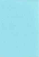 秦泉寺廃寺跡（第7次調査）　-高知市文化財調査報告書 第43集-（高知県）