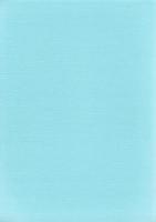 帯屋町遺跡　-高知市文化財調査報告書 第41集-（高知県）