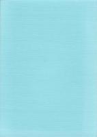 高知城跡　-高知市文化財調査報告書 第33集-（高知県）