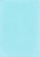 神田ムク入道遺跡　-高知市文化財調査報告書 第28集-（高知県）