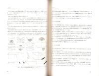 神田ムク入道遺跡　-高知市文化財調査報告書 第28集-（高知県）