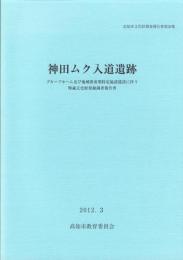 神田ムク入道遺跡　-高知市文化財調査報告書 第36集-（高知県）