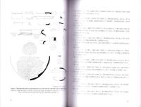 神田ムク入道遺跡　-高知市文化財調査報告書 第36集-（高知県）