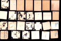 プロ野球選手写真　144枚一括