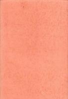 西洋文明の没落　-東洋文明の勃興-