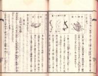 博物教授解　全　-巻之2（動物）-