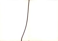 （喫茶店メニュー）カトレヤ