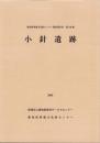 小針遺跡　-愛知県埋蔵文化財センター調査報告書 第136集-（愛知県）