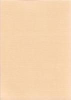 小針遺跡　-愛知県埋蔵文化財センター調査報告書 第136集-（愛知県）