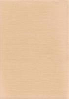 本川遺跡　-愛知県埋蔵文化財センター調査報告書 第100集-（愛知県）