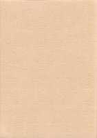 惣作遺跡　-愛知県埋蔵文化財センター調査報告書 第158集-（愛知県）