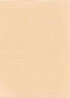 城山遺跡　-愛知県埋蔵文化財センター調査報告書 第122集-（愛知県）