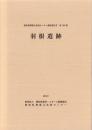 羽根遺跡　-愛知県埋蔵文化財センター調査報告書 第166集-（愛知県）
