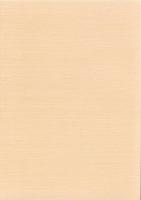 羽根遺跡　-愛知県埋蔵文化財センター調査報告書 第166集-（愛知県）