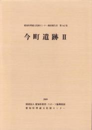 今町遺跡Ⅱ　-愛知県埋蔵文化財センター調査報告書 第162集-（愛知県）