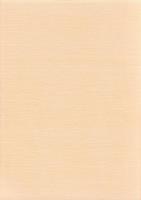 今町遺跡Ⅱ　-愛知県埋蔵文化財センター調査報告書 第162集-（愛知県）