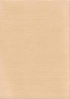 荒山古墳群　-愛知県埋蔵文化財センター調査報告書 第128集-（愛知県）