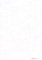 伊東悦太郎家文書目録2・多度町内所在資料目録2　-2009年3月-（三重県）