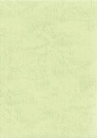 堀切遺跡E区発掘調査報告書　-国道8号バイパス建設工事にかかる埋蔵文化財調査-（富山県）