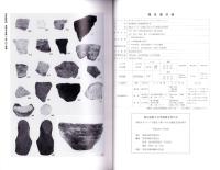 堀切遺跡E区発掘調査報告書　-国道8号バイパス建設工事にかかる埋蔵文化財調査-（富山県）