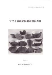ブタイ遺跡発掘調査報告書Ⅱ　-竜王町埋蔵文化財発掘調査報告書 第9集-（滋賀県）
