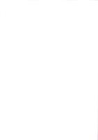 ブタイ遺跡発掘調査報告書Ⅱ　-竜王町埋蔵文化財発掘調査報告書 第9集-（滋賀県）