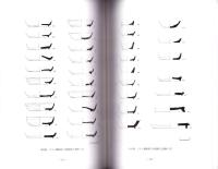 ブタイ遺跡発掘調査報告書Ⅱ　-竜王町埋蔵文化財発掘調査報告書 第9集-（滋賀県）