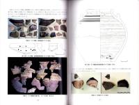 針尾城跡　-平成16年度佐世保市埋蔵文化財発掘調査報告書-（長崎県）