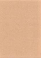 千坊山遺跡群試掘調査報告書　-富山県婦中町-