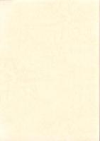 北アルプスカモシカ保護地域　特別調査報告書　-平成16・17年度-