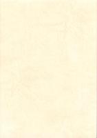 富山城跡発掘調査報告書　-富山市埋蔵文化財調査報告13-（富山県）