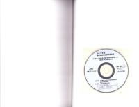 富山城跡発掘調査報告書　-富山市埋蔵文化財調査報告13-（富山県）