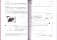 平安京右京二条三坊八町　-花園大学考古学研究報告 第15冊-（京都市）