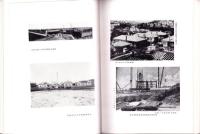 東洋拓殖株式会社三十年誌