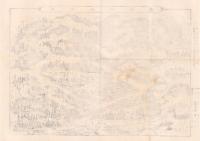 （一枚刷）日光山内全図（栃木県）