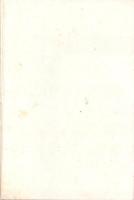 （一枚刷）善光寺境内図（長野県）