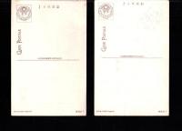 （絵葉書）平和記念東京博覧会  2枚