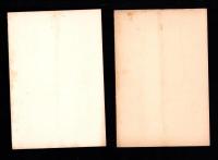 （営業報告書）美濃電気軌道株式会社　第34回報告書　-大正15年上半期-/同株主名簿　2冊一括（岐阜県）