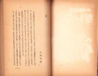 声なき伝言　-比島単独敗走記-