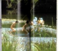 「盗撮」混浴温泉の旅　-いい湯だな、いい女だな 全国の秘湯61選-　ワニの本484