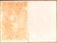 （地図）名古屋市栄生土地区画整理組合地区確定図