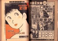 プレイコミック　昭和56年4月23日号　表紙画・本間憲一